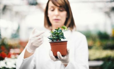 food labels blockchain